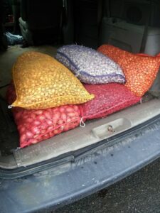 Mike's Garden Harvest- Photo of vegetable sacks in the truck
