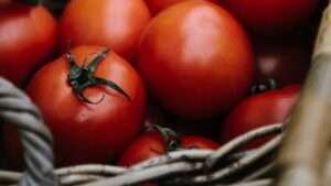Organic Garden tomatoes - Mike's Garden Harvest