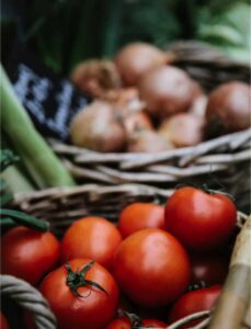 Mike's Garden Harvest - Basket of veggies/tomatoes