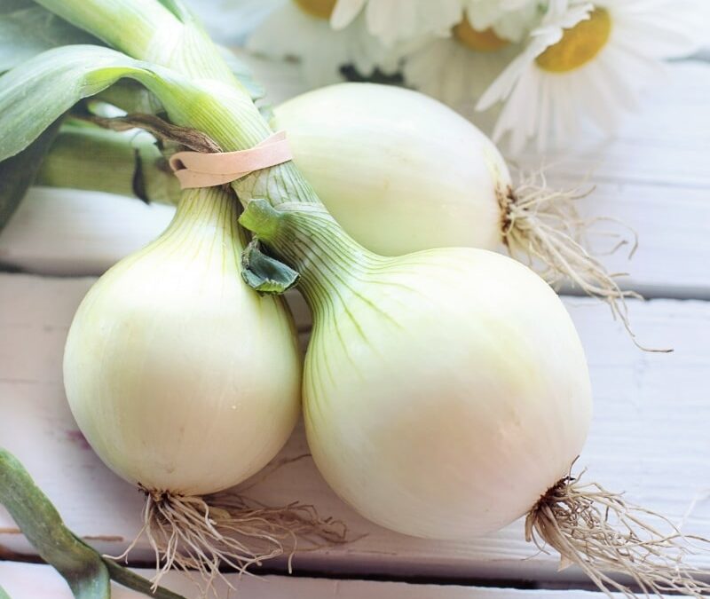 Farm Happenings for October 14, 2020