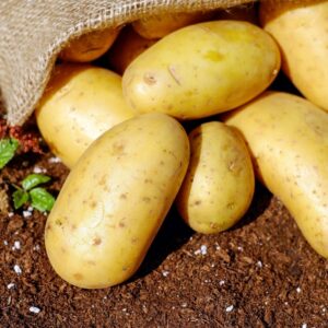Potatoes - Produce - Mike's Garden Harvest - 16 Week Veggie Share