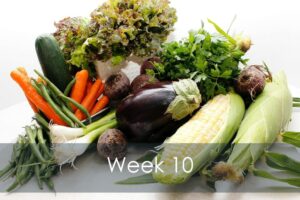 Mike's Garden Harvest-Week 10 vegetable share