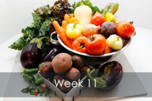 Mike's Garden Harvest-Week 11 vegetable share