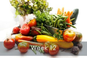 Mike's Garden Harvest-Week 12 vegetable share