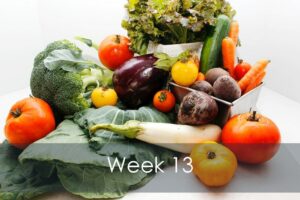 Mike's Garden Harvest-Week 13 vegetable share