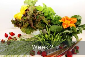 Mike's Garden Harvest-Week 2 vegetable share