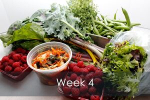 Mike's Garden Harvest-Week 4 vegetable share