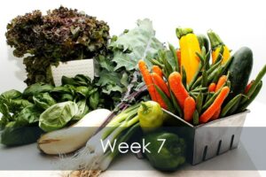 Mike's Garden Harvest-Week 7 vegetable share