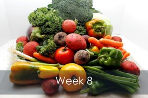 Mike's Garden Harvest-Week 8 vegetable share