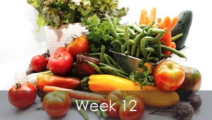 Mike's Garden Harvest - photo of Week 12 Produce