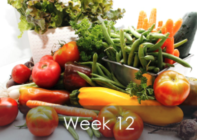 Mike's Garden Harvest - photo of Week 12 Produce