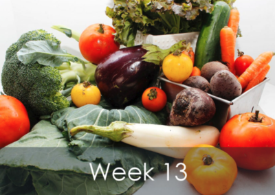 Mike's Garden Harvest - photo of Week 13 Produce