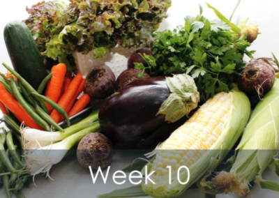 Mike's Garden Harvest - photo of Week 10 Produce