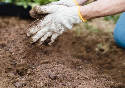 Mike's Garden Harvest - photo of worker's hands in field