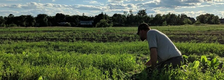Farm Happenings for July 2, 2020
