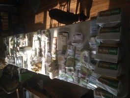 Showing off our Seed :-)