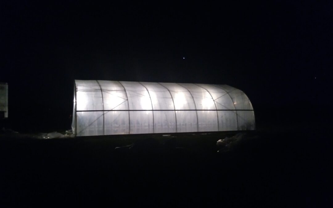 Farm Happenings for November 28, 2020