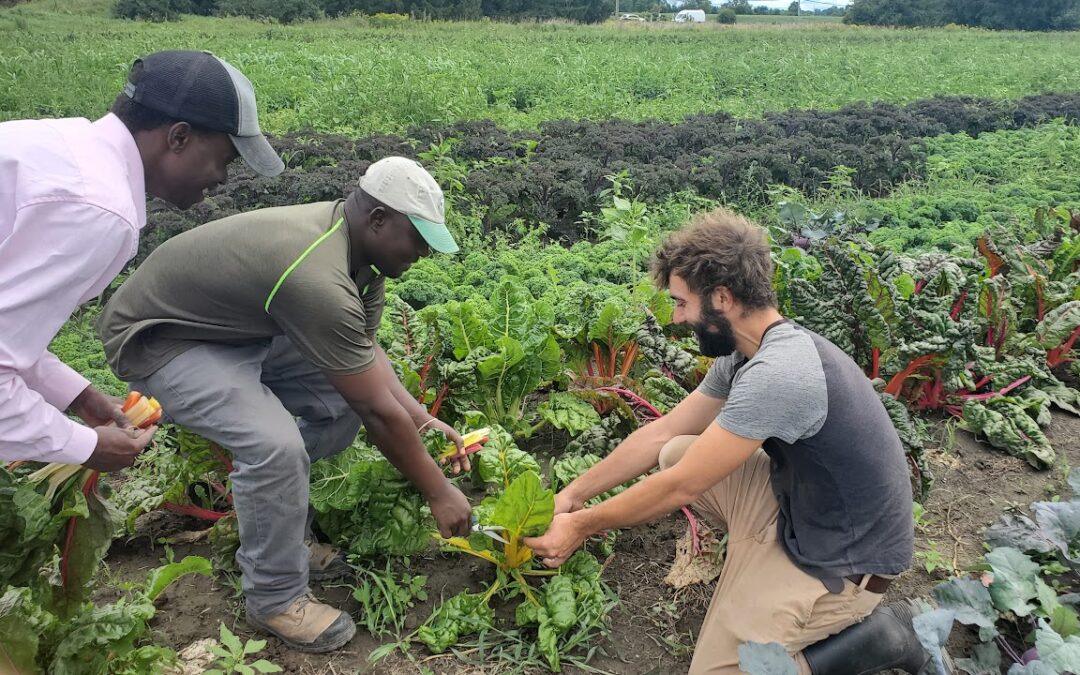 Farm Happenings for July 3, 2023 – Week 1 :-)