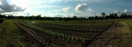 July 6th – Week 1- The Great (‘)scape