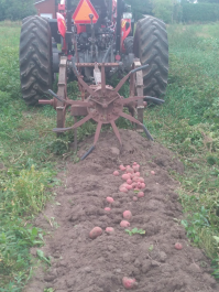 Farm Happenings for October 12, 2021 – And the Beat goes on and on..and..