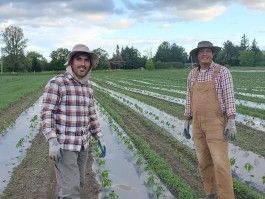 Farm Happenings for July 19, 2022 – Introducing Jaime and Marcelino