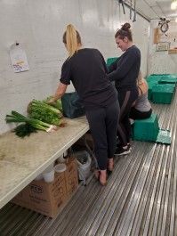 Farm Happenings for August 2, 2022 – Introducing the Packing Crew