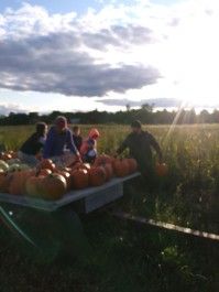 Farm Happenings for August 9, 2022 – Introducing the Volunteers