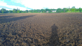 Farm Happenings for August 16, 2022 – The Field