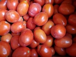 Farm Happenings for September 20, 2022