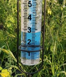 Farm Happenings for August 14, 2023 – the rubber boot edition