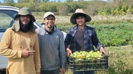 Farm Happenings for September 18, 2023 – The Tomatillo Edition