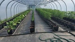 Farm Happenings for July 8, 2024 – another adventure!