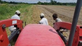Farm Happenings for July 22, 2024 – The rhythm of the dance