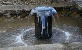 Farm Happenings for August 5, 2024 – the water of life