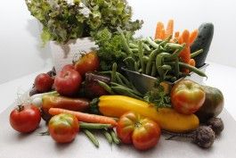 Farm Happenings for October 14, 2024 – week 15, the Thanksgiving edition