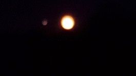 Farm Happenings for October 21, 2024 – Week 16, The Lunar edition