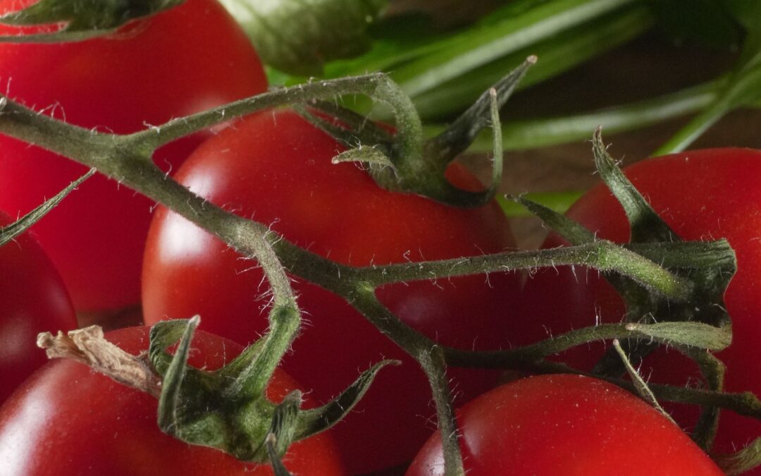 Farm Happenings for September 9, 2020