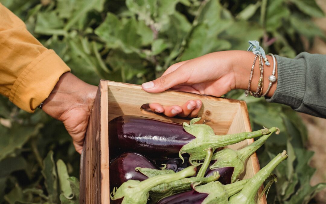 Farm Happenings for August 12, 2020
