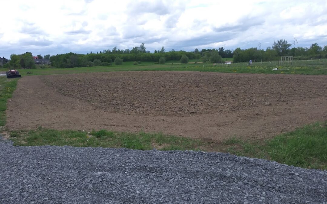 Farm Happenings for July 31, 2026 – Week 5