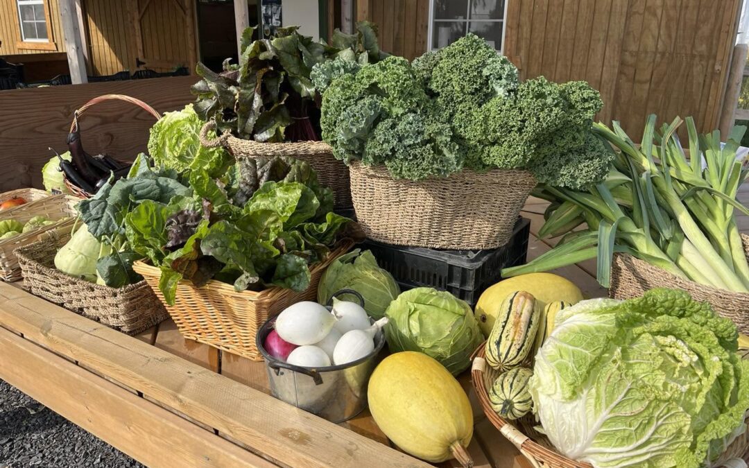 Farm Happenings for October 09, 2026 – Week 15