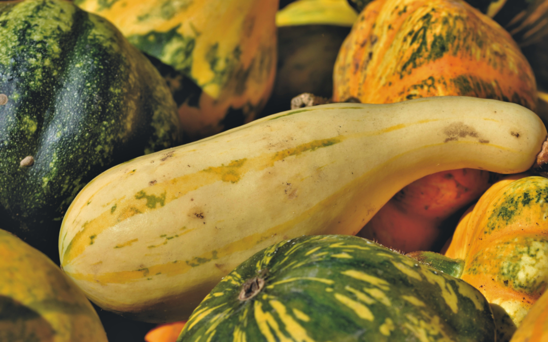 Farm Happenings for October 16, 2026 – Week 16